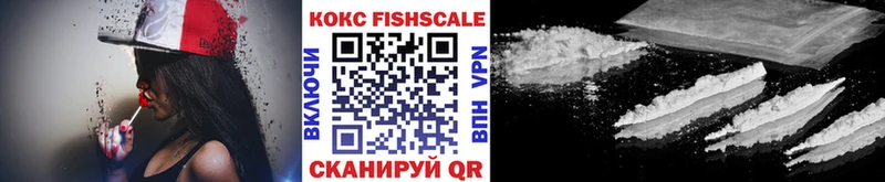 МЕГА как зайти  Кадников  Кокаин Fish Scale 