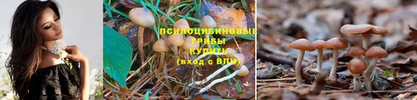 прущая мука Верея