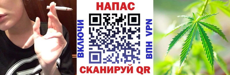 площадка какой сайт  Кадников  Шишки марихуана планчик  купить  